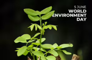 Giornata Mondiale dell’Ambiente giornata-mondiale-ambiente
