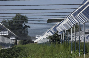Energia: Pichetto firma decreto su agrivoltaico innovativo Agrivoltaic