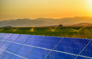 Agrivoltaico innovativo: via libera al decreto incentivo agrivoltaico