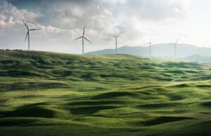 110 firme per il Manifesto “Uscire dalla pandemia con un nuovo Green Deal per l’Italia”