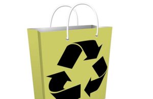 Debutta l’ecobag per surgelati, fa bene anche all’ambiente