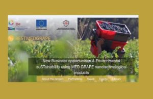 A Cagliari progetto su come utilizzare scarti lavorazione uva