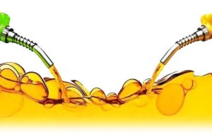 Biocarburanti, l’Europarlamento salverà quelli da olio di palma e fonti alimentari?
