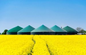 Manovra, Gattoni (Consorzio Italiano Biogas): da governo misure concrete per il Green New Deal