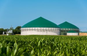 DL Taglia prezzi, CIB: “Bene approvazione emendamento sulla produzione di energia elettrica da biogas agricolo” biogas