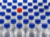 Plastic Free: con le nuove regole UE non si può aspettare il 2030 bottiglie-in-plastica