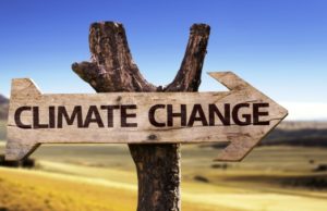 Clima e migrazioni, eventi meteo muovono 20 milioni di persone ogni anno