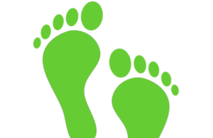 Al via la prima green partnership per neutralizzare le emissioni degli imballaggi in plastica