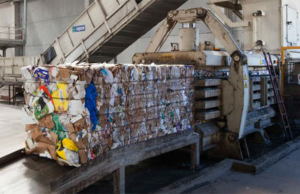 Carta e cartone, cresce l’industria del riciclo carta cartone