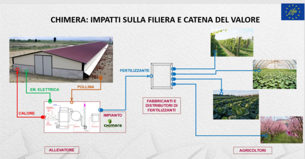 chimera-catena-valore