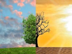 Clima, il sondaggio Ipsos Doxa per Ecomondo 2026 rapporto ambiente snpa 2024