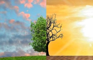 Il punto sull’Ambiente nel rapporto Snpa rapporto ambiente snpa 2024