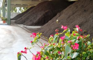 Il CIC presenta negli USA il Rapporto Annuale del Biowaste italiano