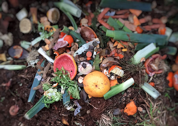 compost_t20_oEj0LQ