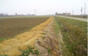 Dossier Pesticidi di Legambiente: presentati i corpi idrici più inquinati e i “cattivi esempi” da evitare
