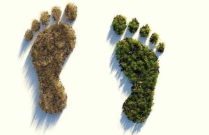 La distruzione dell’ambiente ci costerà 9 mila miliardi di euro in trent’anni, sostiene il Wwf