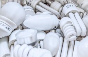 Ecolamp: i dati della raccolta 2022 ecolamp