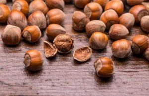 Ferrero, il guscio delle nocciole diventa materia prima