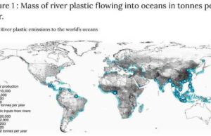 Quali sono i fiumi che trasportano più plastica nei mari?