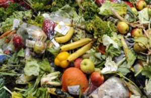 Rifiuti, min Costa: “Intesa su emendamento End of Waste è architrave per Green New Deal”