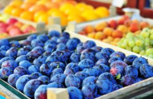 Compostatori, etichette sacchetti bio siano compostabili
