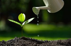 CIB, Biogasfattobene® punto di partenza per una nuova rivoluzione agricola ecosostenibile