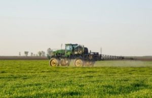 Glifosato, ok dell’Ue al rinnovo per altri 5 anni. ”Nuove regole e trasparenza”