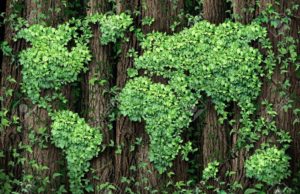 Cresce l’economia green in Italia, + 33% in 5 anni