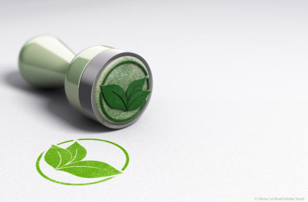 Greenwashing Greenwashing