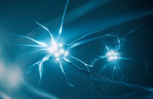 A Ecomondo TOMRA presenta le macchine intelligenti: il deep learning al servizio della selezione ottica
