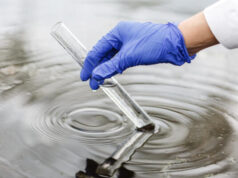 Bioremediation: i microrganismi alleati nella bonifica dei suoli contaminati in Europa bonifica bioremediation