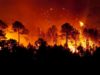 In Italia oltre 7 disastri ambientali su 10 derivano da errori umani