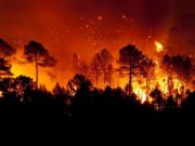 In Italia oltre 7 disastri ambientali su 10 derivano da errori umani