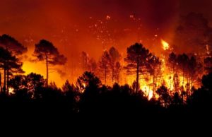 In Italia oltre 7 disastri ambientali su 10 derivano da errori umani