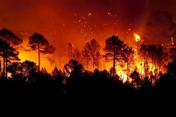 incendio_bosco
