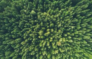 Presentato il dossier “Pandemia e sfide green del nostro tempo”