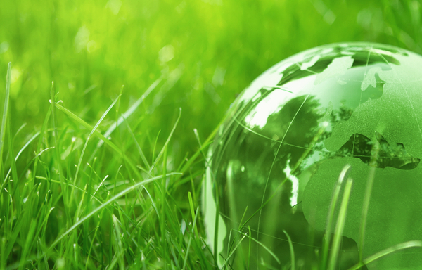 green green