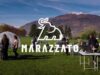 Il Gruppo Marazzato presenta il nuovo Video Corporate Video corporate di Marazzato