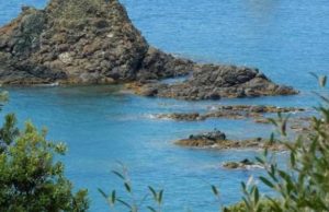 Ambiente, il Ministero modifica la sua riorganizzazione. Nasce il Dipartimento per la transizione ecologica e la Direzione generale per il mare