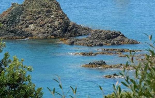 mare