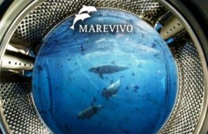 Allarme microfibre, a ogni lavaggio milioni finiscono in mare