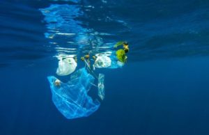 Marine litter, test sulle bioplastiche: più veloce la biodegradazione