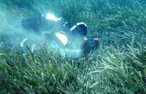 Spiagge a rischio per l’aumento di CO2: possibile calo dei sedimenti