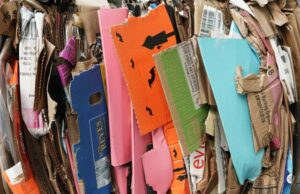 Savoriti (UNIRIMA) nominato rappresentante all’European Paper Recycling Council (EPRC)