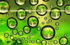 Norvegia, banditi i biocarburanti da olio di palma