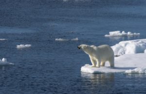 Cambiamenti Climatici