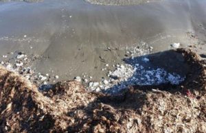 Litri di paraffina in mare, a Sarroch in Sardegna arrivano gli ispettori del Ministero