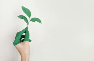 Transizione ecologica nei Comuni: il Sud corre più del Nord ecologia