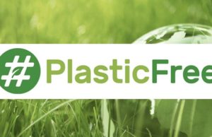 Plastic free, la ‘rivoluzione’ del ministero dell’ambiente compie un anno