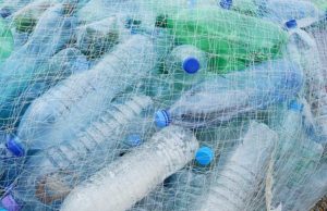 Traffico illecito di rifiuti tra Italia e Malesia: le scoperte di Greenpeace